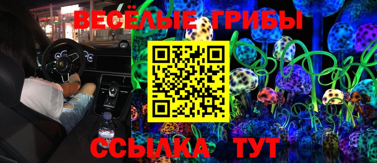 цена   Псилоцибиновые грибы мицелий  Вход с VPN  Дедовск 